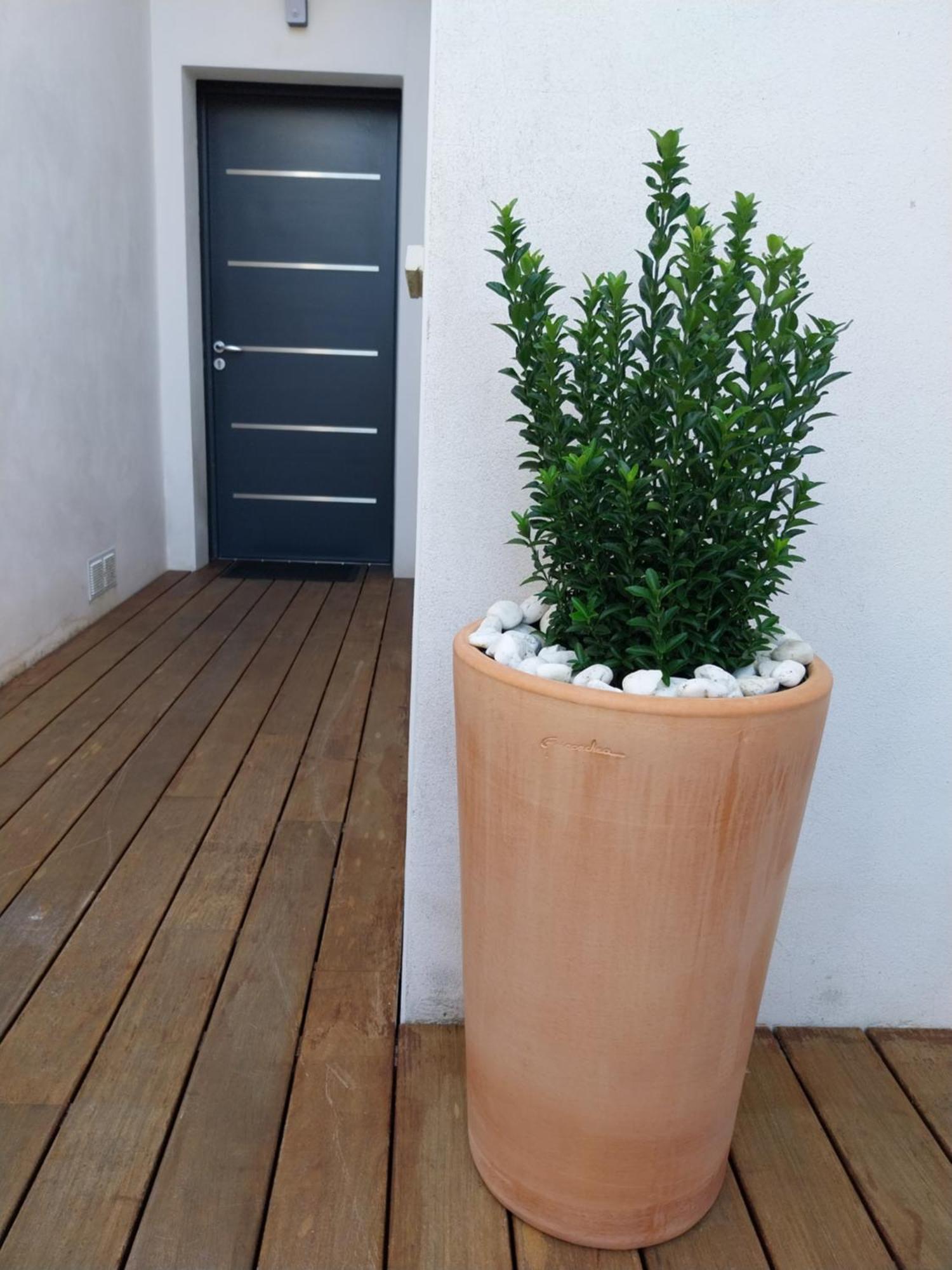 Studio Cocon Enea Bidart, Terrasse Et Parking Zewnętrze zdjęcie